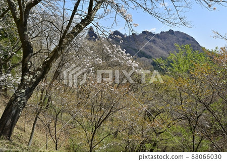 Mt. Myogi (first rock and Mt. Kinkei) and Sakura no Sato 88066030