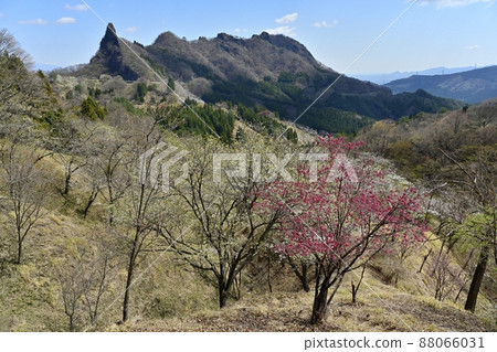 妙木山(第一塊岩石和金慶山)和櫻花之裡 妙木山(第一塊岩石和金慶山)和櫻花之裡 88066031