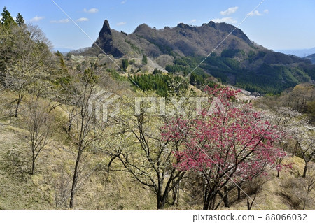 妙木山(第一塊岩石和金慶山)和櫻花之裡 妙木山(第一塊岩石和金慶山)和櫻花之裡 88066032