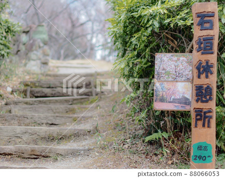 室池花園休息區 室池花園休息區 88066053