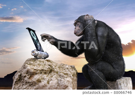 An intelligent chimpanzee sits on a rock and operates an electronic panel while holding his head 88066746