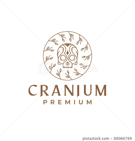 cranium art with leaf logo design, vector graphic symbol icon illustration creative idea cranium art with leaf logo design, vector graphic symbol icon illustration creative idea 88066789