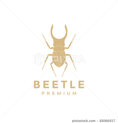 insect beetle male logo design, vector graphic symbol icon illustration creative idea insect beetle male logo design, vector graphic symbol icon illustration creative idea 88066857