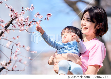 戶外育兒形象 88067215