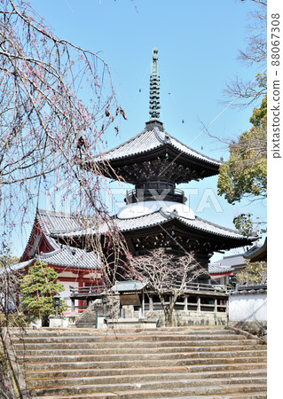 Kosanji Temple（大殿[左]，Tahoto [右]）[和歌山縣田邊市] 88067308
