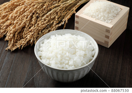 Rice, rice and rice ears 88067530