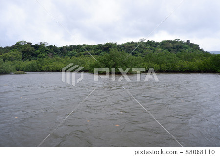 紅樹林 紅樹林 88068110