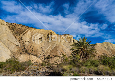 Tabernas desert, Desierto de Tabernas near Almeria, andalusia region, Spain Tabernas desert, Desierto de Tabernas near Almeria, andalusia region, Spain 88068493