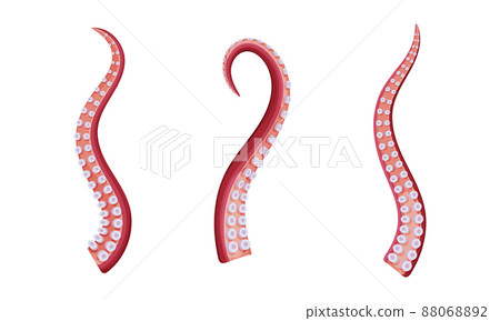 Set of octopus tentacles, underwater marine creature body parts cartoon vector illustration 88068892