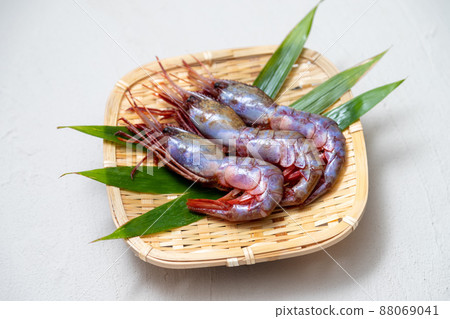 Raw grape shrimp 88069041