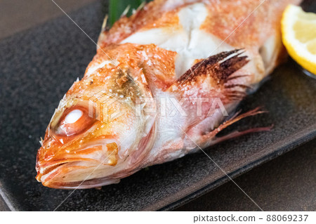 鹽烤的石斑魚 88069237