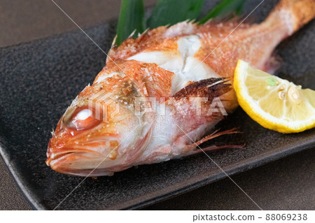 Salt-grilled rockfish 88069238