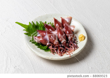 新鮮螢火蟲魷魚 88069323