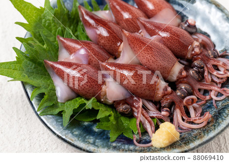 新鮮螢火蟲魷魚 88069410