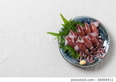 新鮮螢火蟲魷魚 88069411