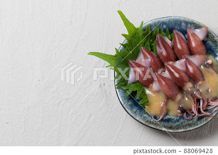 螢火蟲魷魚醋味噌 88069428