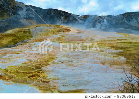 露台山托盤彈簧 88069612