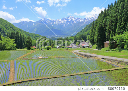 初夏的白馬村青木 初夏的白馬村青木 88070130