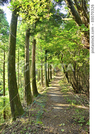 Yaguradake in the Ashigara Mountains, the ridge road of the Yaguradake hiking course Yaguradake in the Ashigara Mountains, the ridge road of the Yaguradake hiking course 88070326