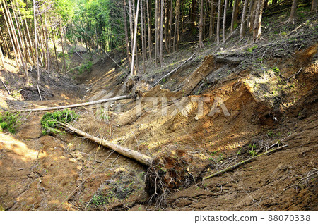 足柄山脈的矢倉岳倒塌,樹木倒塌 足柄山脈的矢倉岳倒塌,樹木倒塌 88070338