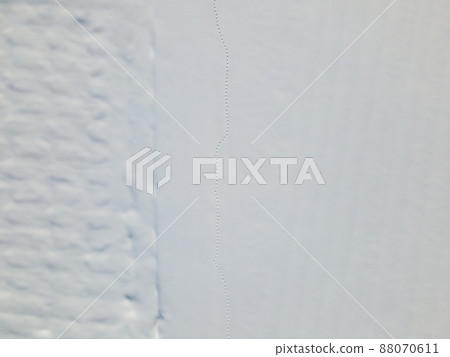 雪原上狐狸的腳步 88070611