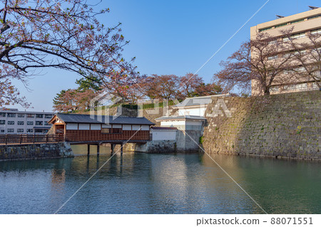 Scenery of Fukui Castle Ruins Honmaru Scenery of Fukui Castle Ruins Honmaru 88071551