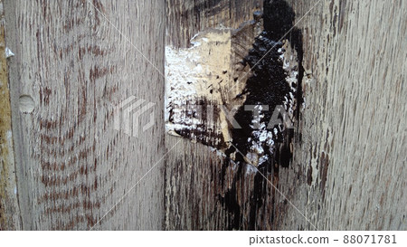 Monotone wood grain art Monotone wood grain art 88071781
