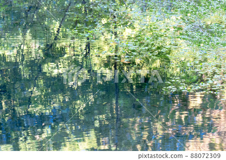 Image of fresh green reflected on the surface of the water (Kiyazawa mountain stream) 88072309