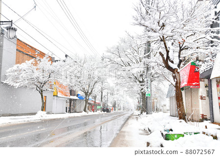 Karuizawa Hon-dori (Karuizawa Town, Nagano Prefecture) [2022.3] 88072567