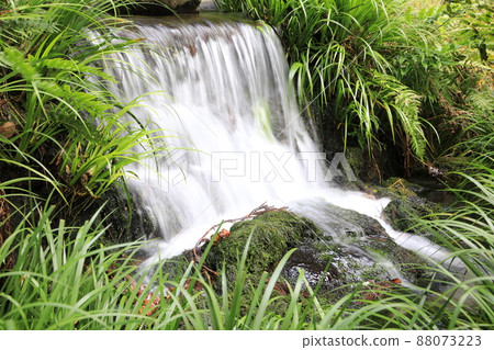 泉水從泉池流下來 88073223