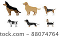 狗插圖摘要 88074764