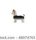 約克夏犬的插圖 88074765