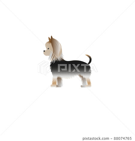約克夏犬的插圖 88074765
