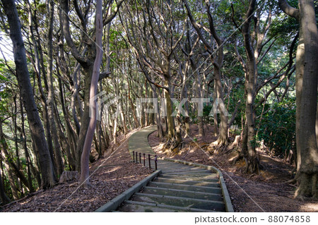 Kanegasakigu and Kanegasaki Castle Ruins, Tsuruga City, Fukui Prefecture 88074858
