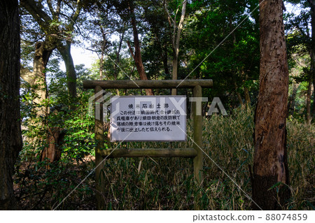 福井縣敦賀市金崎宮和金崎城跡 88074859