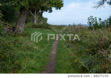 A hiking path through lush vegetation. Blue water and a blu sky in the background. Picture from Skalderviken, Sweden 88075150