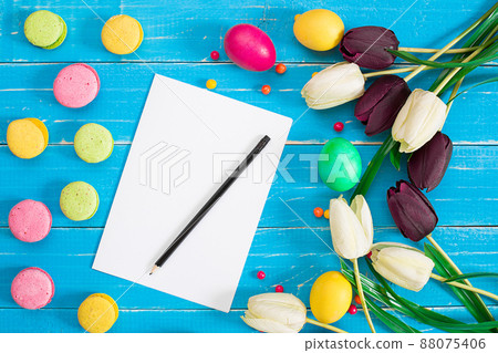 Easter eggs and tulips on blue wooden planks Easter eggs and tulips on blue wooden planks 88075406