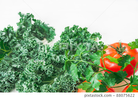 Carinokele Carinokele 88075622