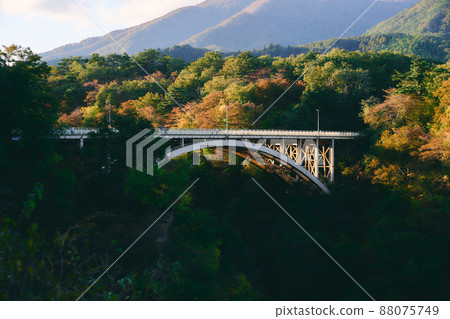 Naruko Ohashi 88075749