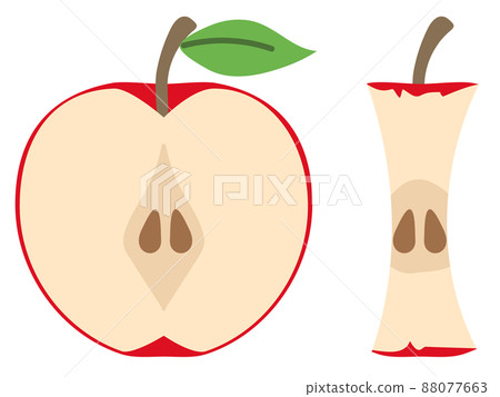 Illustration of an apple cut in half and its core Illustration of an apple cut in half and its core 88077663