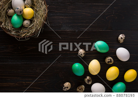 Colorful easter egg in nest on dark wood board. 88078193