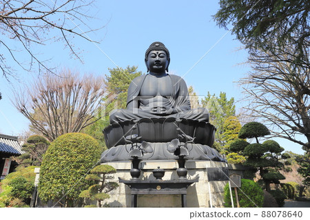 Tokyo Daibutsu of Jorenji Temple Akatsuka, Itabashi-ku, Tokyo Tokyo Daibutsu of Jorenji Temple Akatsuka, Itabashi-ku, Tokyo 88078640