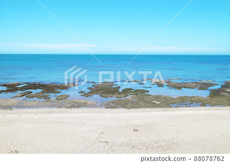 海邊沙灘 88078762