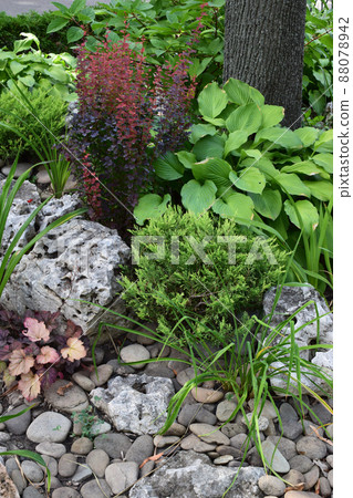 Park with shrubs and green lawns 88078942