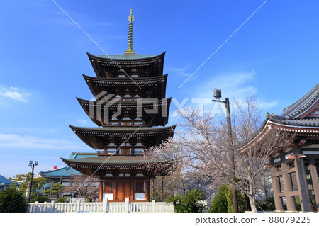 櫻花和五層塔,角王山二太寺(愛知縣名古屋市) 櫻花和五層塔,角王山二太寺(愛知縣名古屋市) 88079225