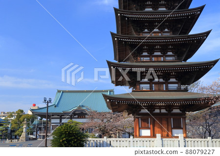 櫻花和五層塔,本殿(愛知縣名古屋市角王山二太寺) 櫻花和五層塔,本殿(愛知縣名古屋市角王山二太寺) 88079227