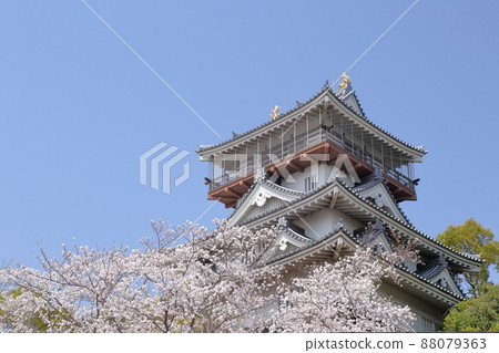 櫻花城(愛知縣日新市岩崎城) 櫻花城(愛知縣日新市岩崎城) 88079363