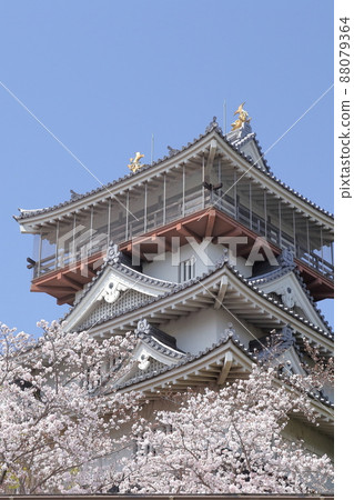 櫻花城（愛知縣日新市岩崎城） 88079364