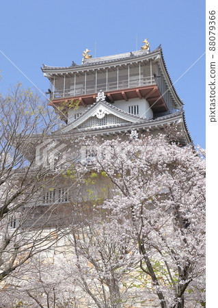 櫻花城（愛知縣日新市岩崎城） 88079366