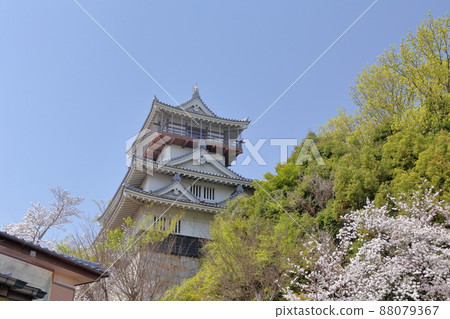 櫻花城（愛知縣日新市岩崎城） 88079367